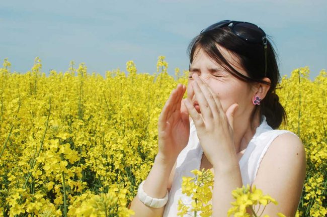 Allergies Springing Up? Allergies Springing Up?