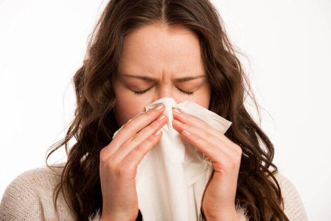 Allergies Springing Up | Elite Climate Control Allergies Springing Up | Elite Climate Control