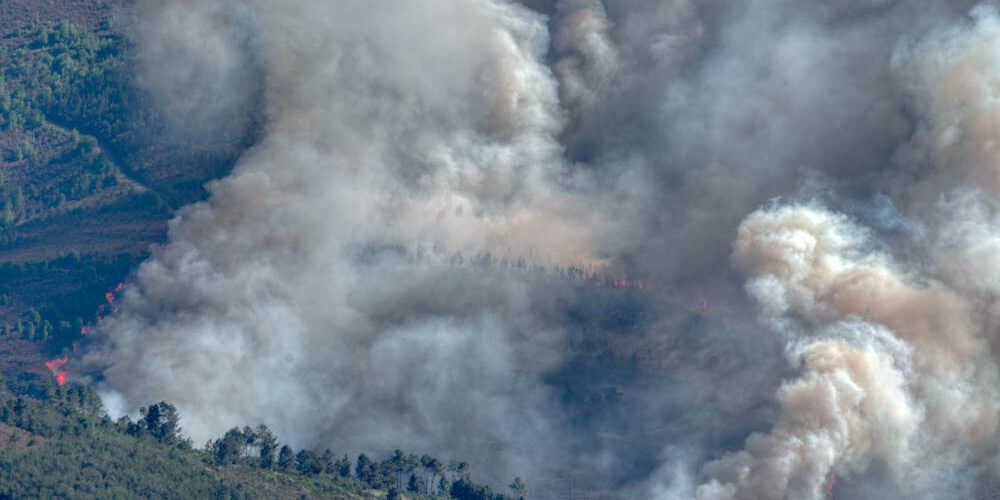 Fire Season is Here in California – What it Means for Property Owners Fire Season is Here in California - What it Means for Property Owners