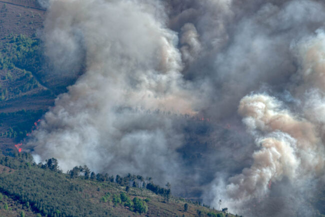 Fire Season is Here in California – What it Means for Property Owners Fire Season is Here in California - What it Means for Property Owners