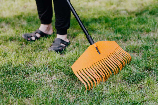 Keeping Your HVAC Clean of Outside Debris Keeping Your HVAC Clean of Outside Debris