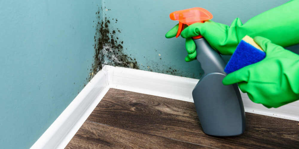 Is There Mold In Your HVAC System Is There Mold In Your HVAC System