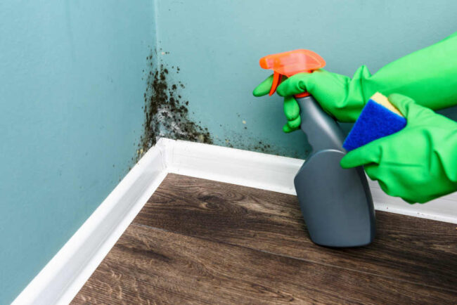 Is There Mold In Your HVAC System Is There Mold In Your HVAC System